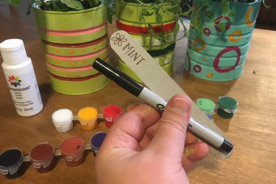 popsicle stick herb marker