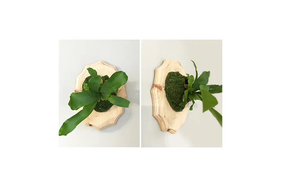 a close up of food on a table