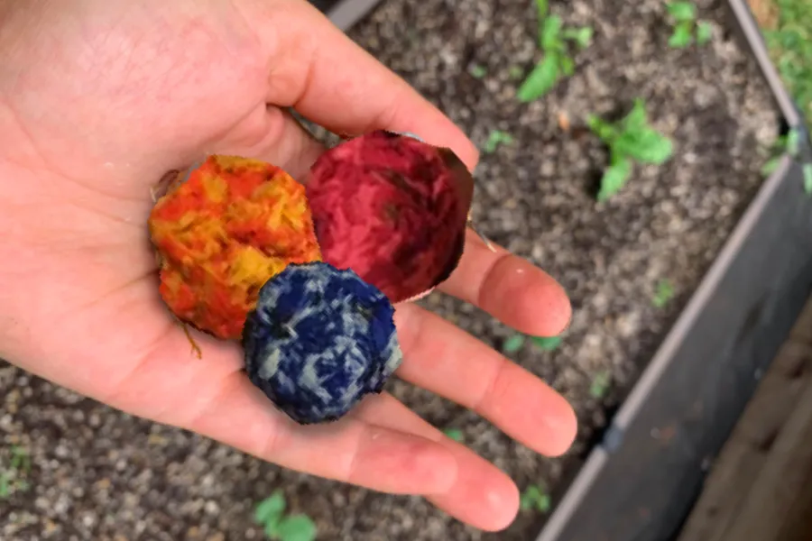 wildflower seed bombs, seed packet, outdoor space