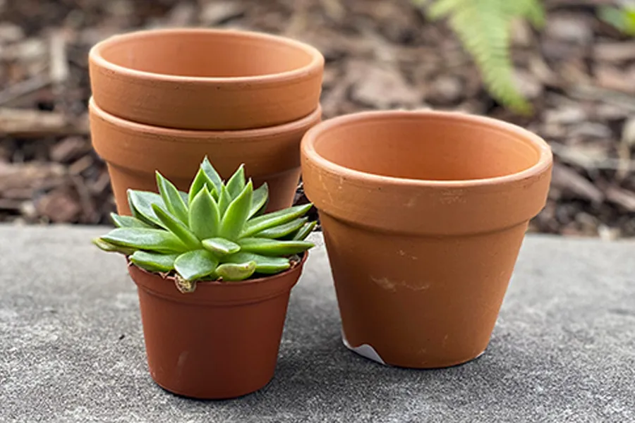 Painted terracotta pots