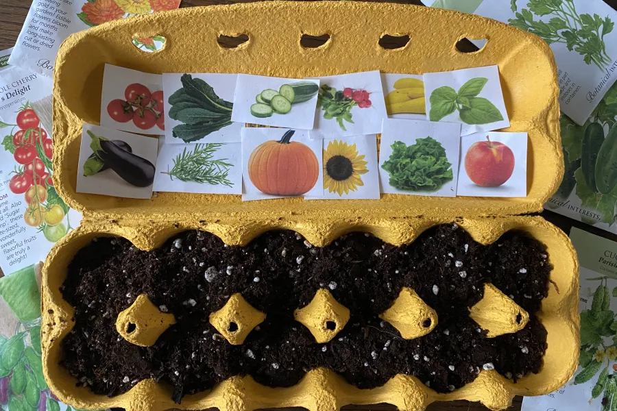 egg carton seed starting kit
