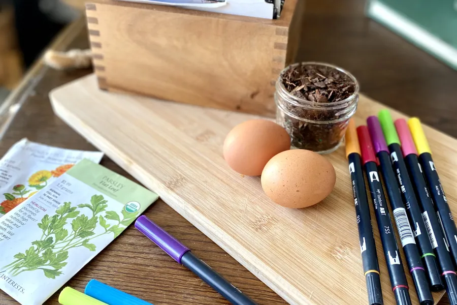 egg head planter color seeds