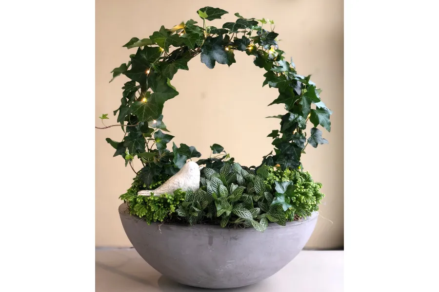a centerpiece of green foliage plants with a wreath-form ivy