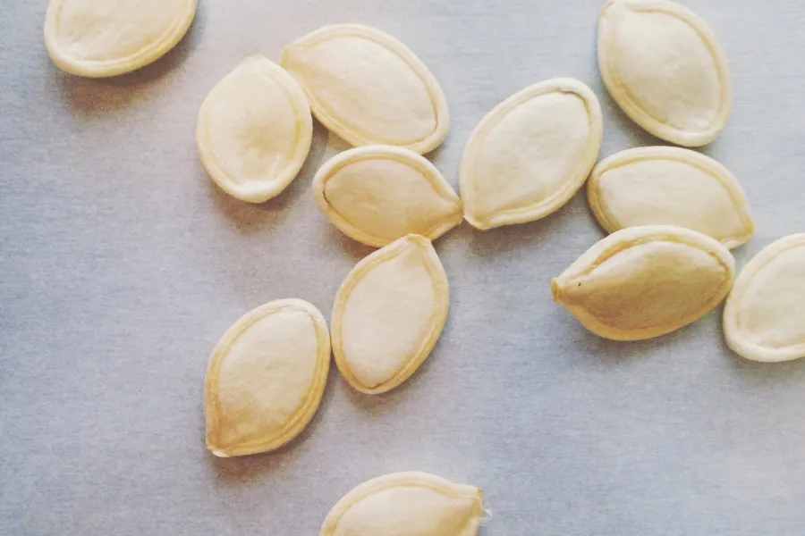 pumpkin seeds ready to plant