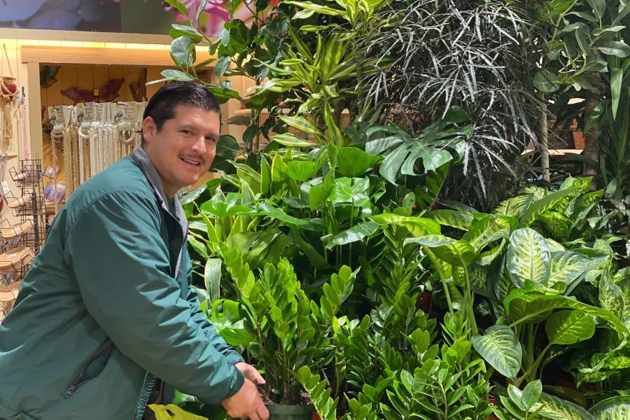 a man standing in front of a green plant in a garden