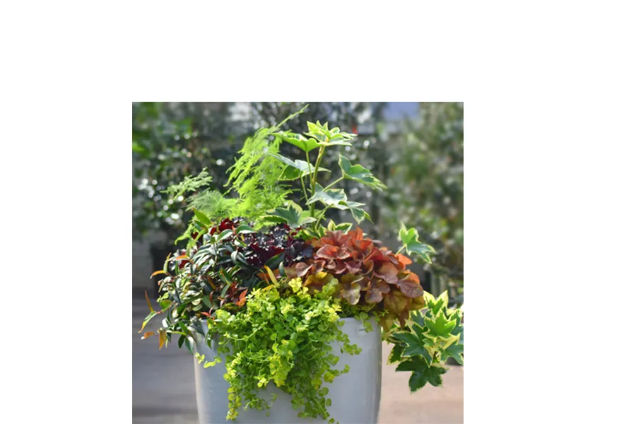 fall shade container