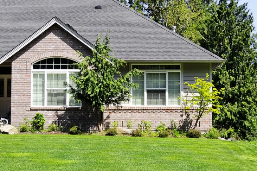 trees in front of a house