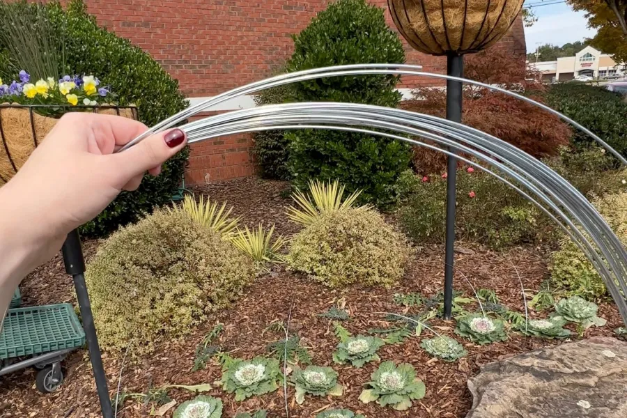 a hand holding a basket of flowers