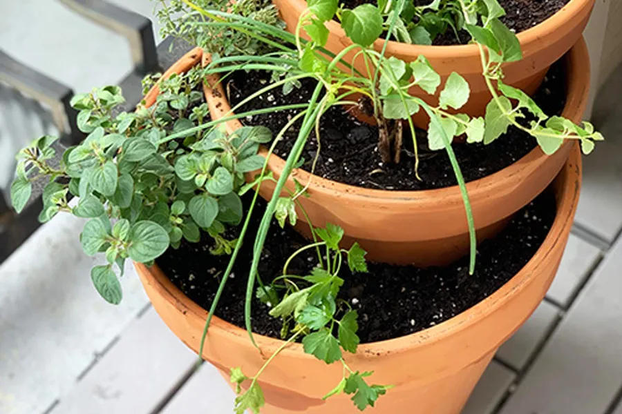 terra cotta pots stacked