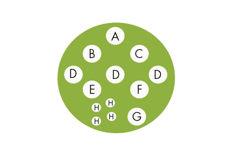 edible garden diagram