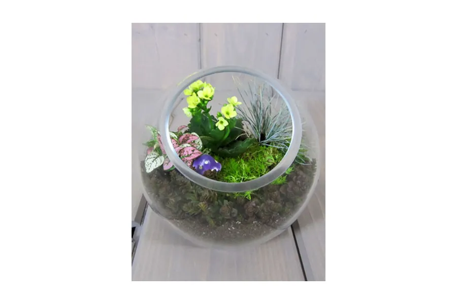 terrarium