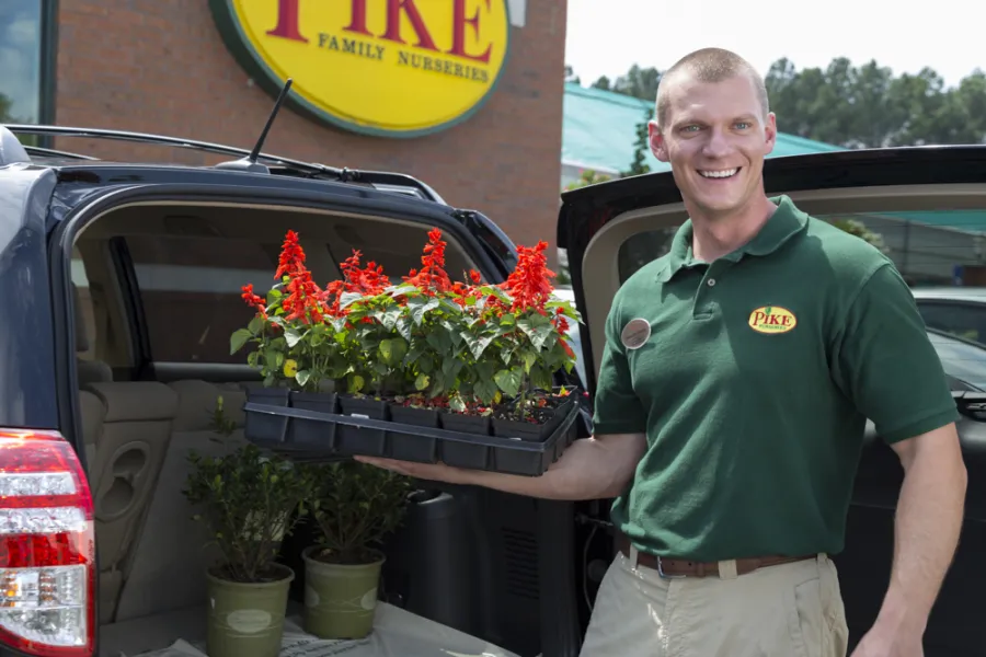 Pike associate helping load plants into a car
