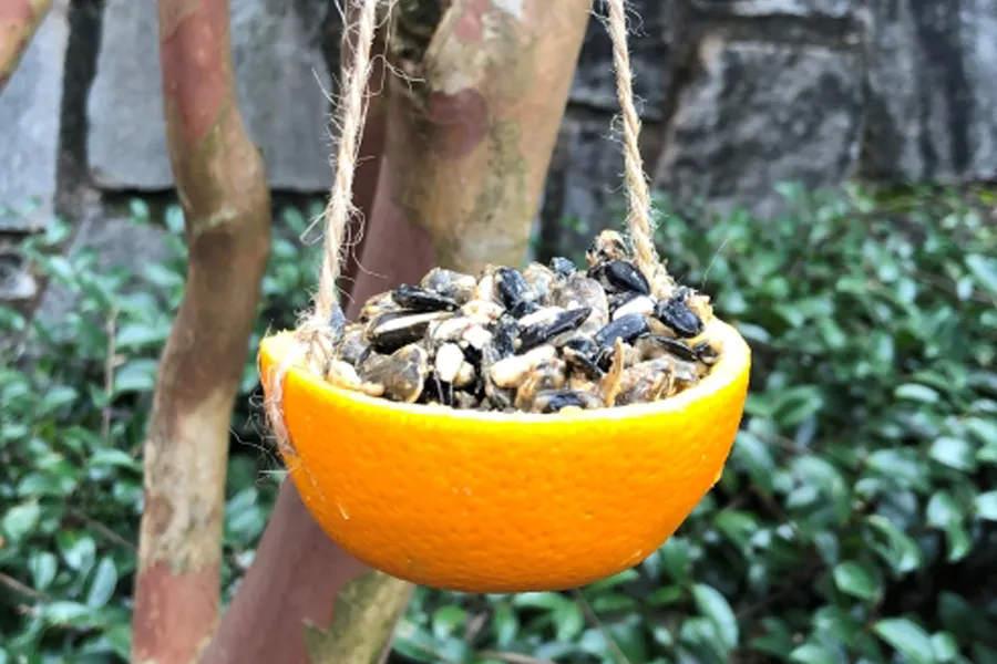 hanging orange bird feeder