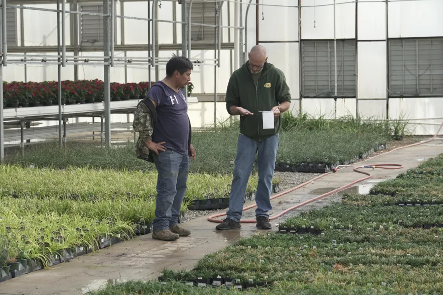 two men standing in a greenhouse surrounded by plants