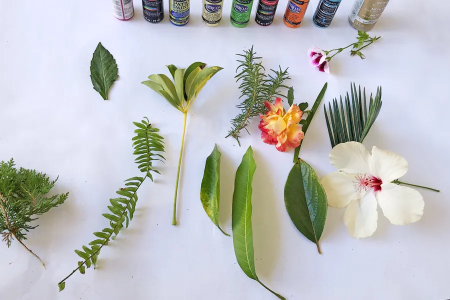 a close up leaves and flowers