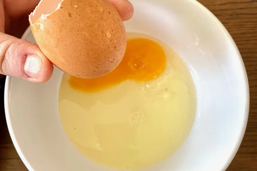 hallowed out egg shell