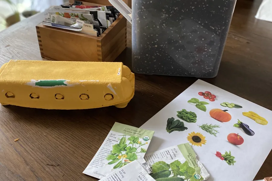 organic egg carton seed starting kit