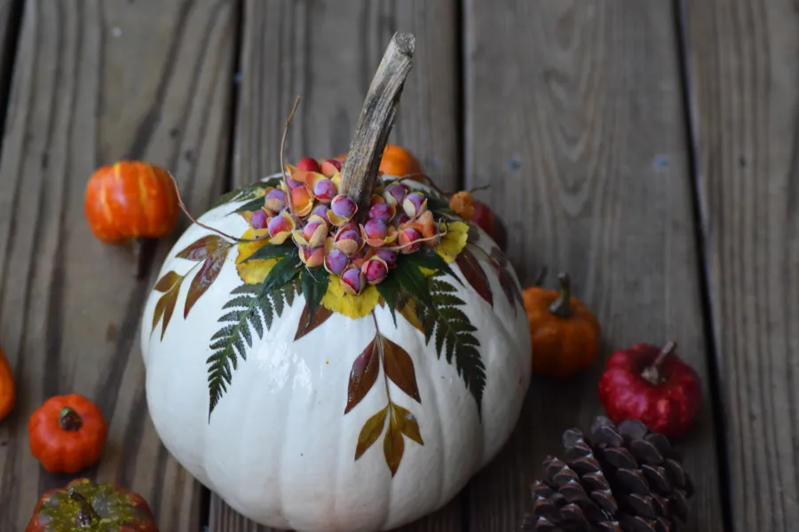 Decorative Pumpkin DIY