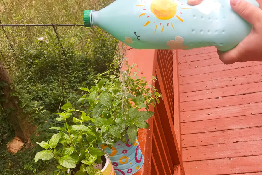 soda bottle watering can