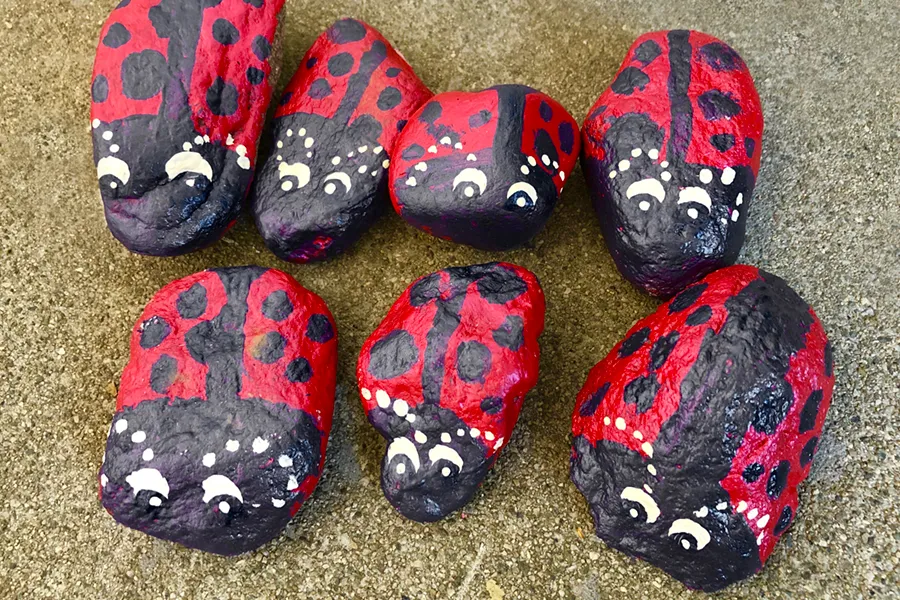 painted ladybug rocks
