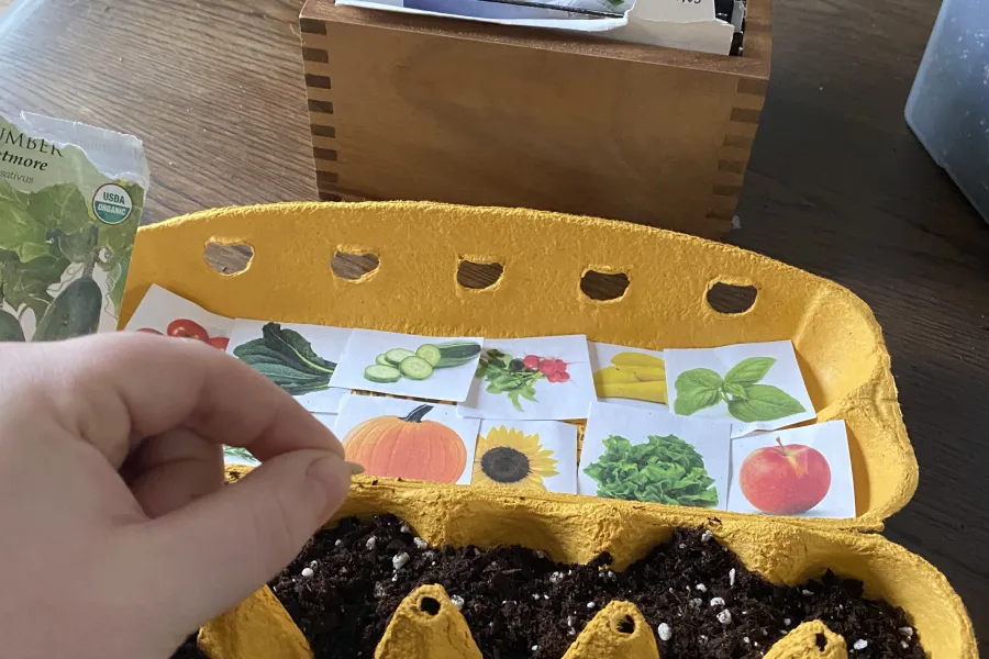 soil egg planter head seed colorful kids