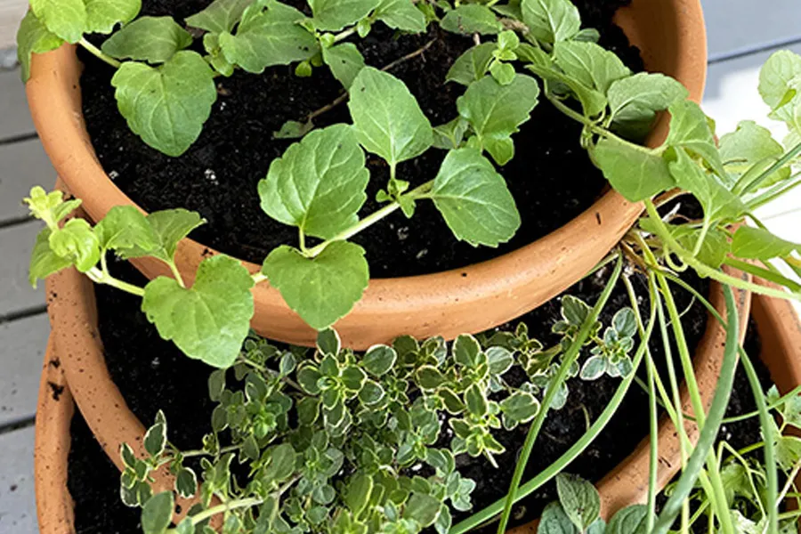 terra cotta pots stacked