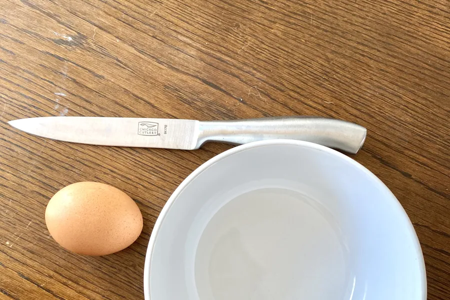 organic egg head planter seed