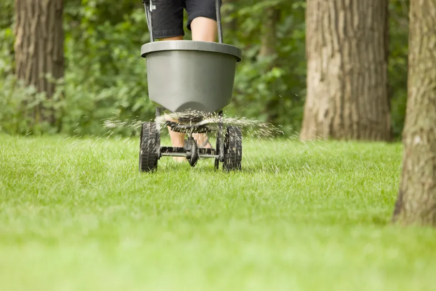 person pushing a spreader fertilizing grass and trees
