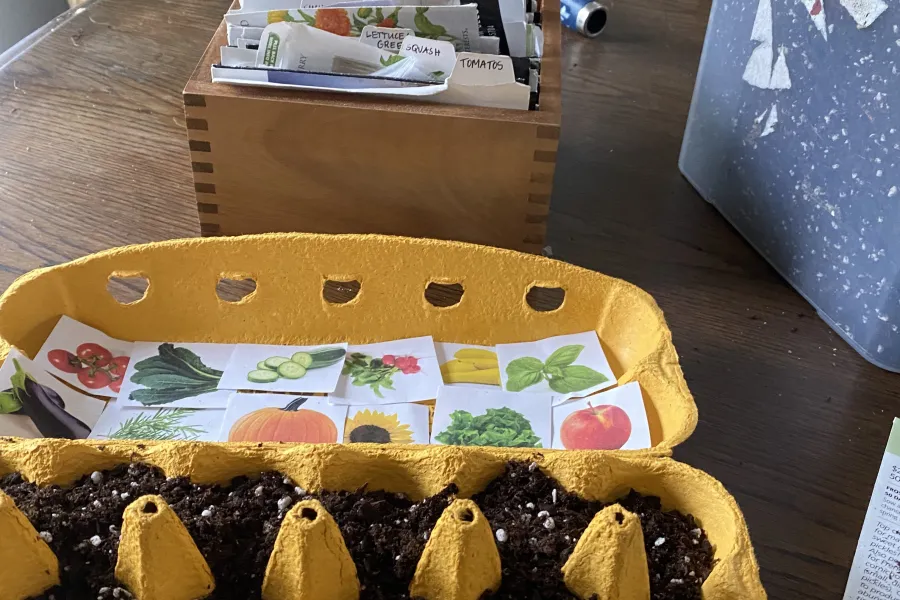 seed starting egg carton kit