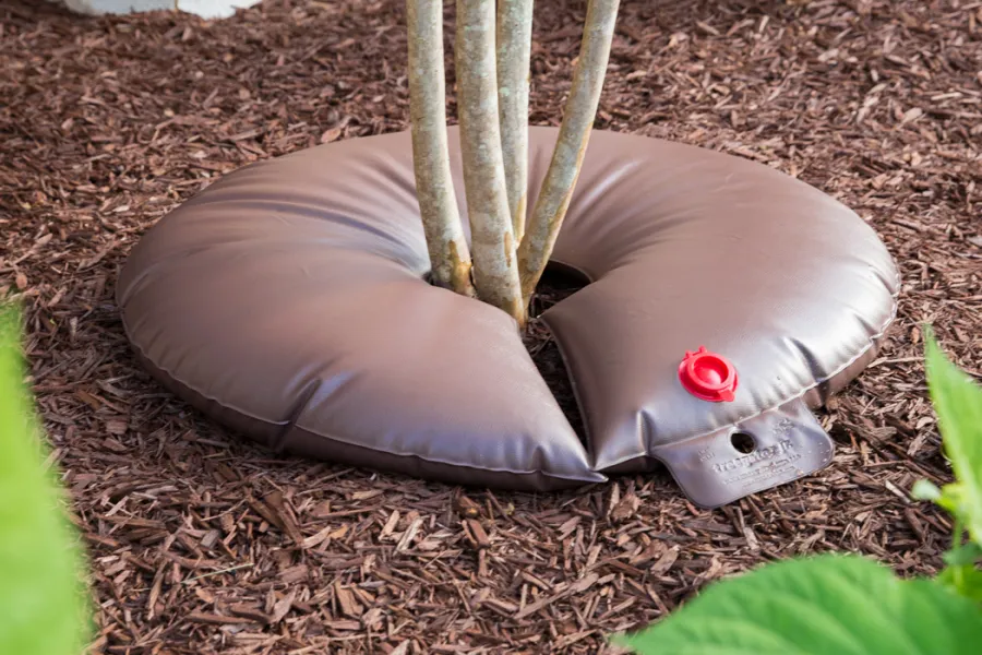 water bag around a tree trunk