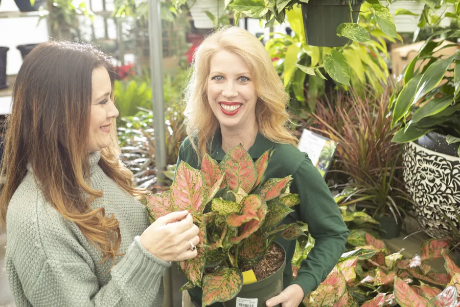 Pike Nurseries - Hiring HR Manager