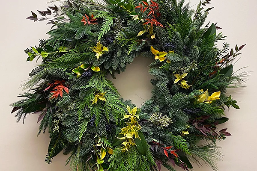 a vase of flowers on a tree