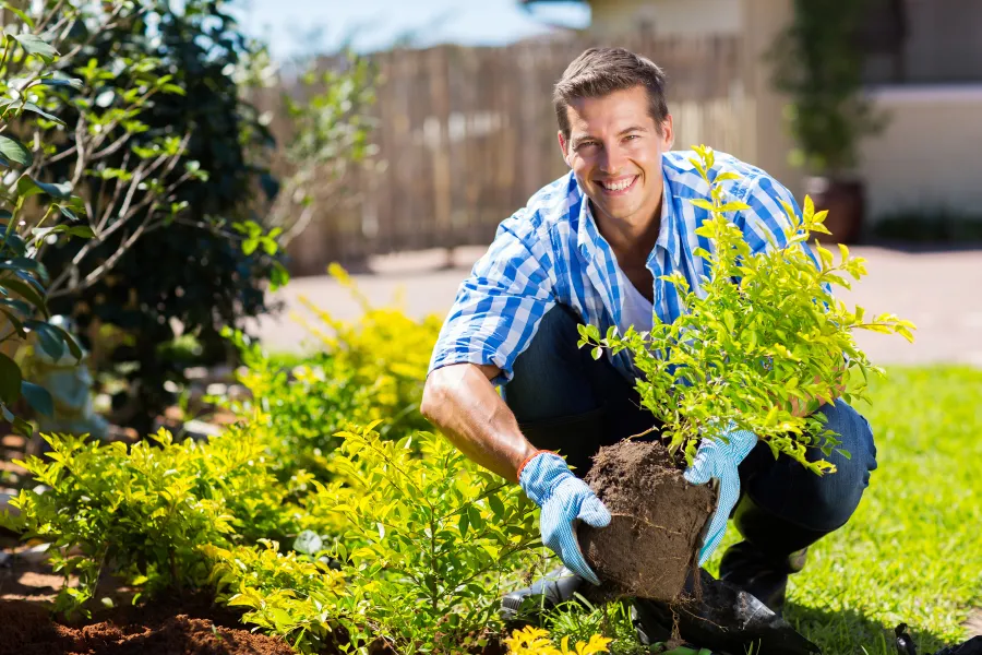 a man planting in a garden