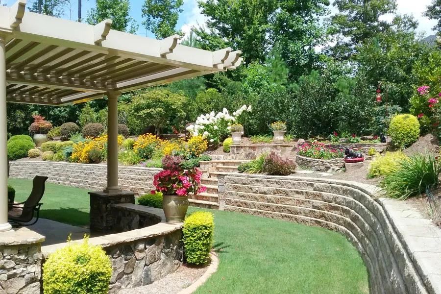 a close up of a flower garden