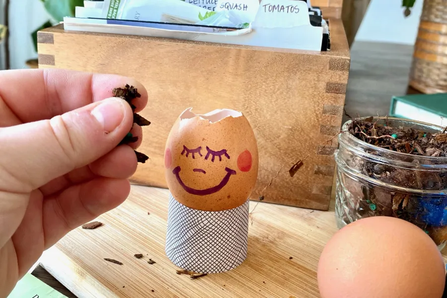 soil egg planter head seed colorful kids