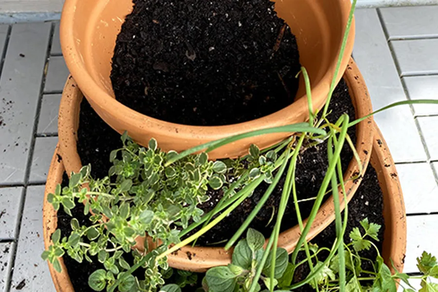 terra cotta pots stacked