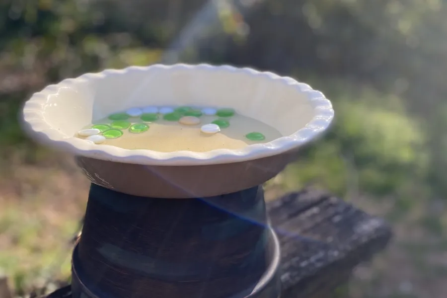 home-made bird bath