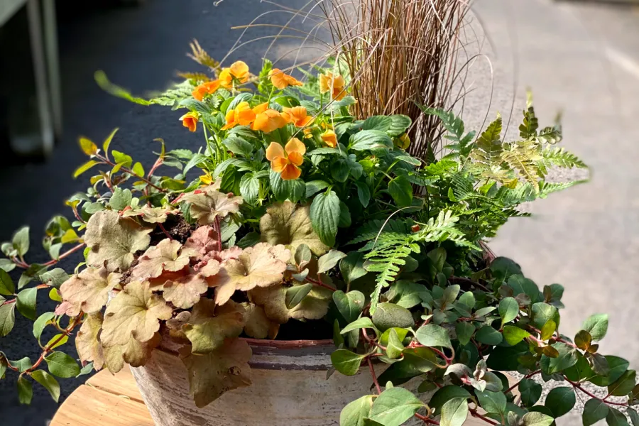 fall container garden