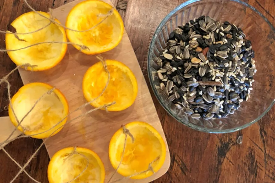 oranges on a table with bird seed