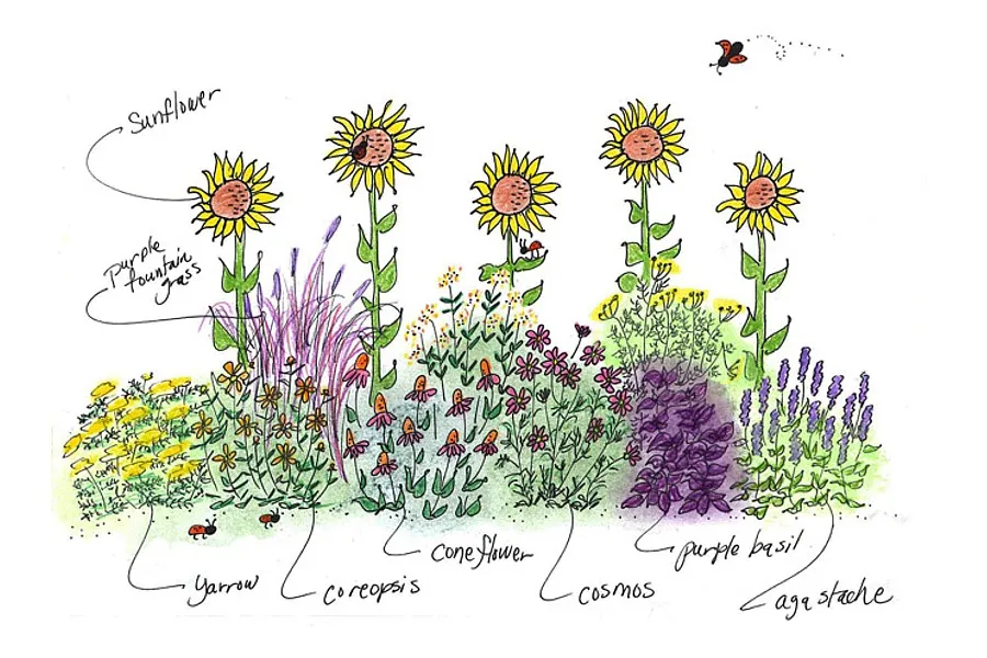 a close up of a flower