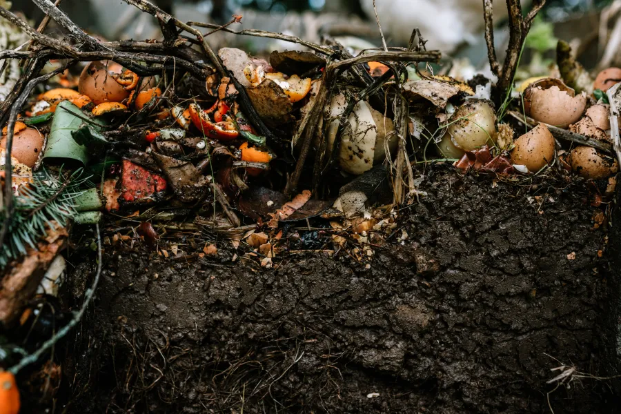 organic healthy soil compost food scraps