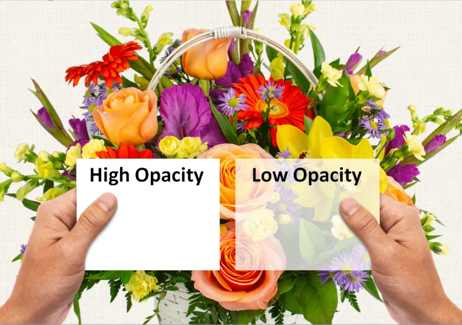 A colorful flower bouquet seen behind examples of high and low opacity paper stocks