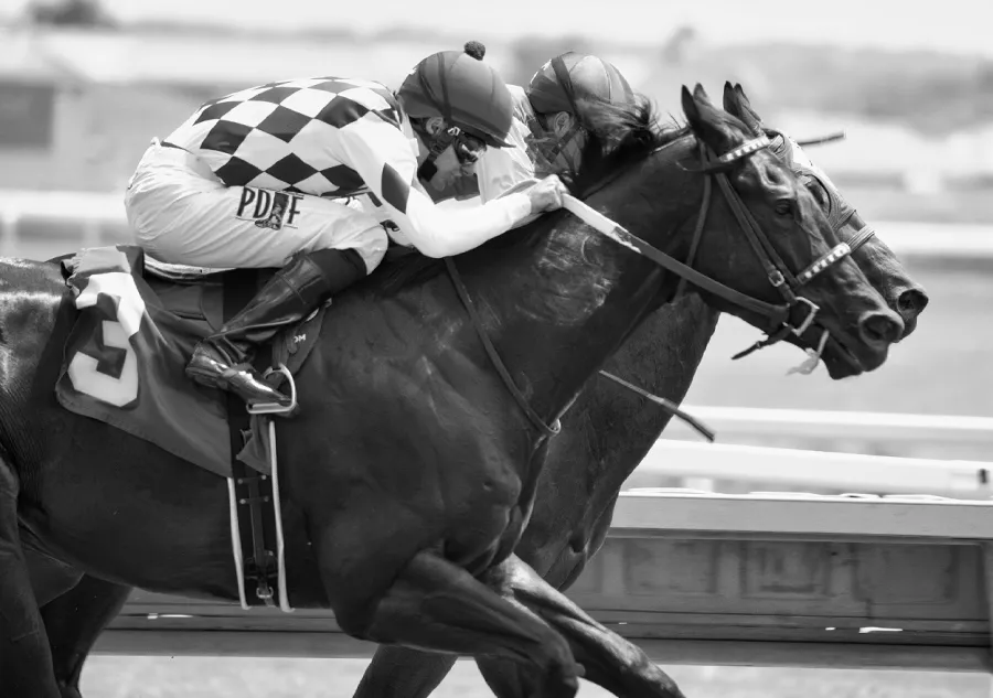 Two race horses running side by side on the track