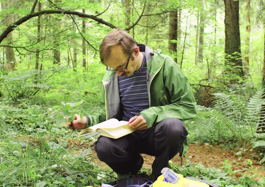 A man reading a field guide in the woods