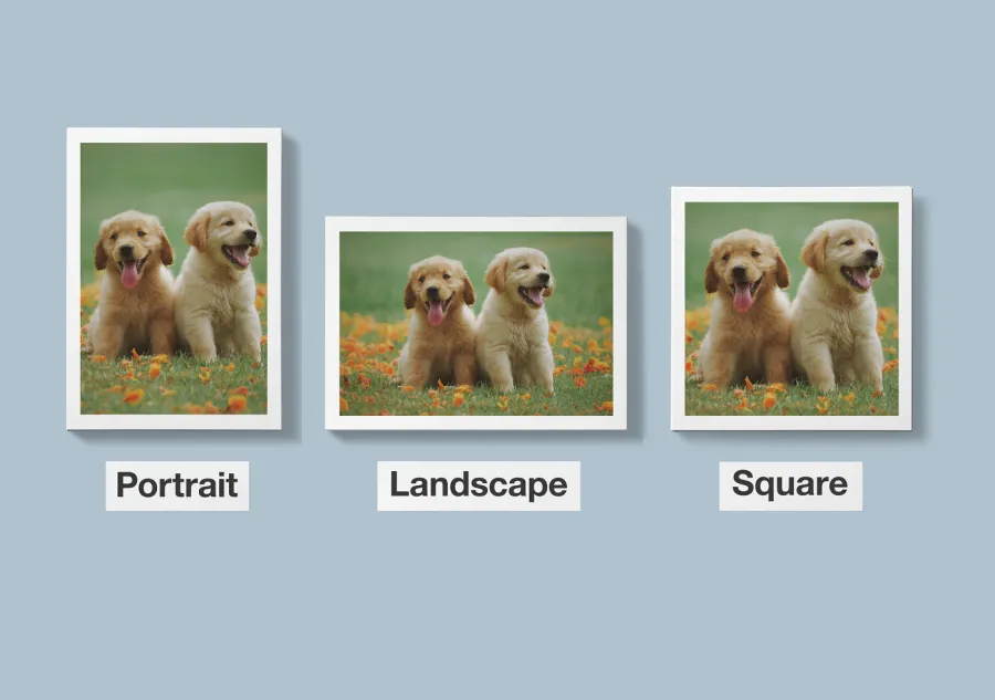 Examples of three Book Orientations - Portrait, Landscape, and Square