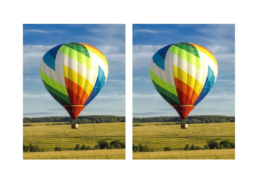 An example of 2-Up Printing showing two hot air balloon images