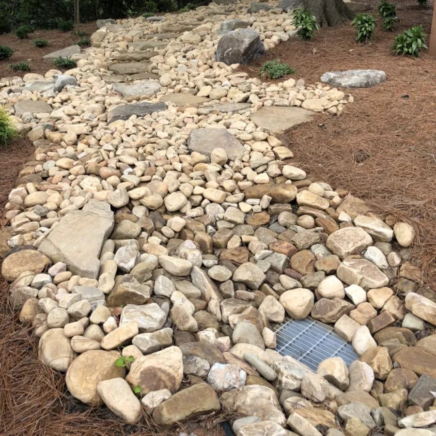 a rocky path with trees