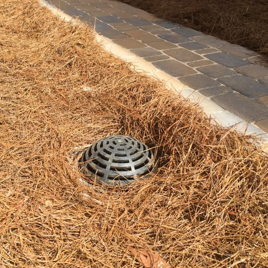 a metal drain in a pile of hay