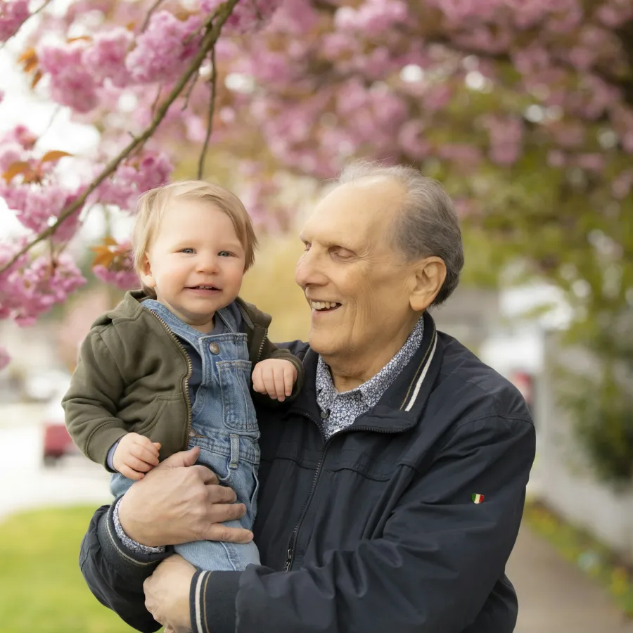 Smiling grandfather holding toddler under blooming pink cherry blossoms on a sunny day outdoors
