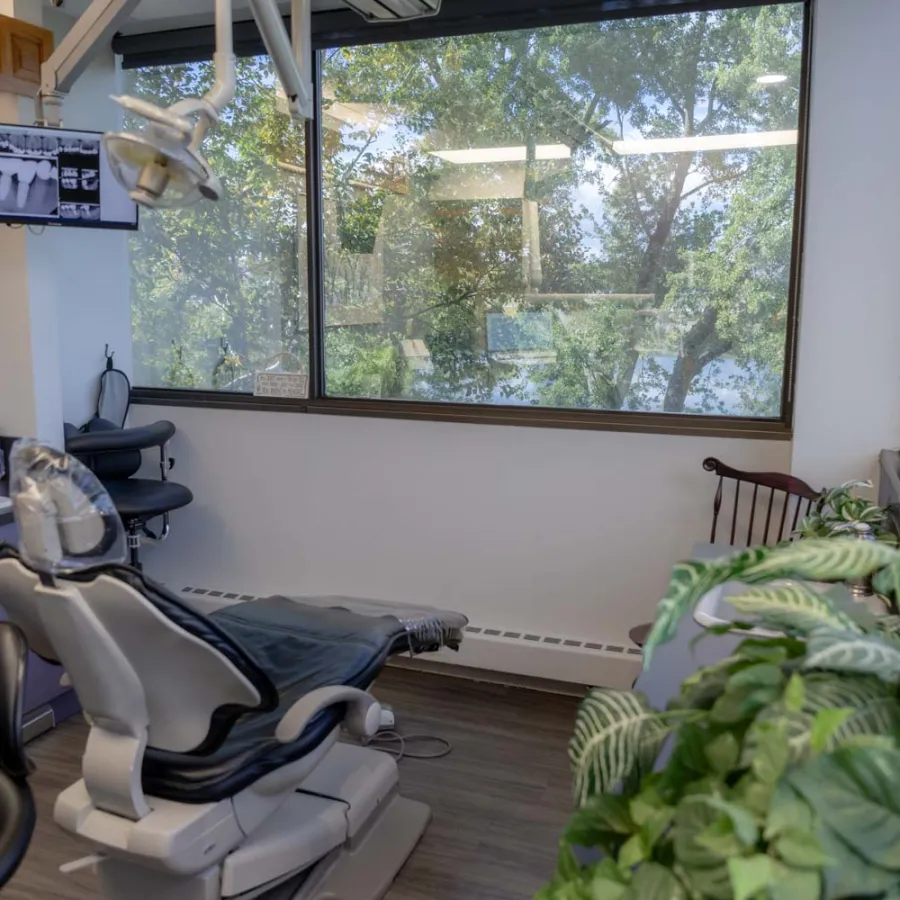 Modern dental office with reclining chair, overhead light, large window, monitors, and green plants near the window.
